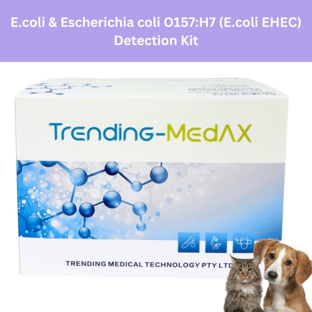 E.coli & Escherichia coli O157:H7 (E.coli EHEC)