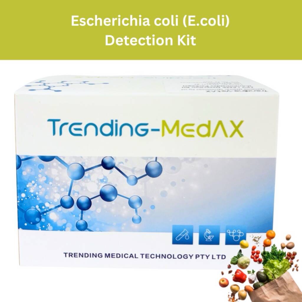 E. coli (Escherichia coli)